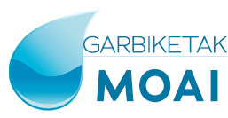 Hondarribiko Moai garbiketak